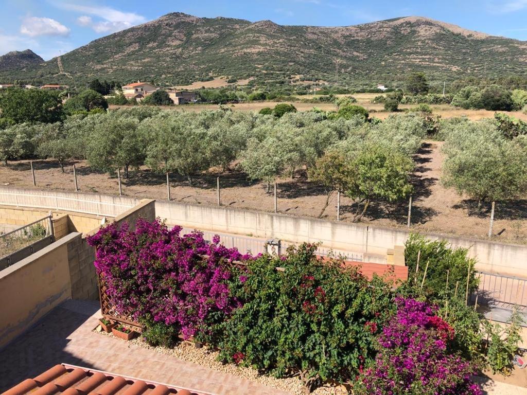 B&B Il Mirto Bianco San Giovanni Suèrgiu Buitenkant foto